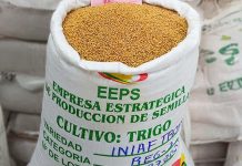 Ingresos de la empresa estatal de semillas crecen un 7,70%