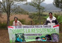 CIDH recibirá en audiencia a defensores ambientales de Tariquía