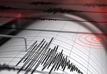 En enero se registraron 116 sismos en cinco departamentos; el 82 % en Potosí