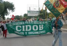 Indígenas buscan candidato para las elecciones