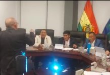 Comisión de Diputados reanuda el tratamiento de proyectos de contratos de litio
