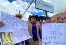 Pecuarios alertan de quiebras y menos producción por falta de maíz y su alto costo