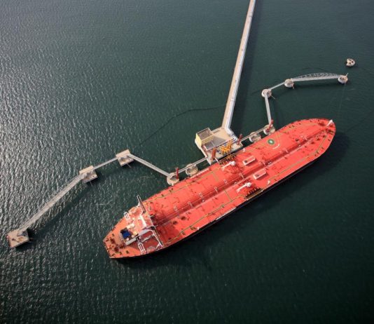 Las importaciones chinas de petróleo disminuyeron en 2024 por la desaceleración de la actividad de refino