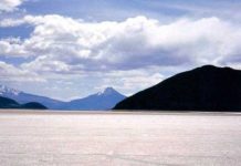 Salar de Coipasa: Buscan concretar contratos