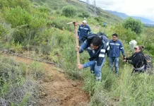 ENDE ha sembrado 7.000 plantines nativos en 7 hectáreas del Parque Nacional Tunari