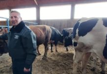 Autoridades decomisan 10.000 kilos de carne y ganaderos expresan su preocupación por aumento del contrabando