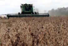 Interculturales de San Julián exigen reapertura de exportaciones de soya y pago en dólares