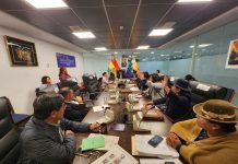 Comisión de Diputados aprueba crédito para Planta Solar en Viacha