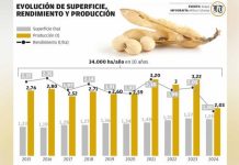 Anapo propone cinco estrategias para triplicar producción de soya en Bolivia