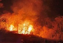 Mujeres de comunidades chiquitanas denuncian que durante los incendios forestales de 2024 la violencia sexual aumentó