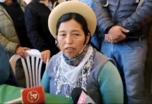 Vicepresidenta del MAS: Quienes renuncien deben dejar también su curul