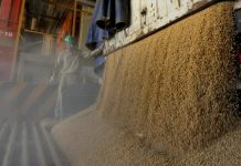 El agro nacional alerta sobre el deterioro constante de la economía de las familias bolivianas