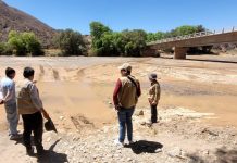 Tras proceso penal, se suspende actividad minera ilegal en reservas de Manuripi e Iturralde