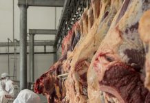 Gobierno mantendrá suspensión indefinida en la otorgación de certificados para la exportación de carne de res