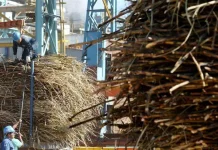 Brasil y Bolivia comparten estrategias para modernizar la industria cañera