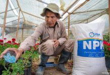 En 2024, la planta de fertilizantes NPK produjo 4.555 toneladas y generó Bs 23,9 millones