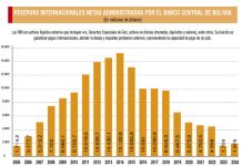 BCB dice que las RIN se estabilizan
