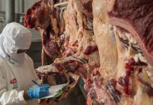 El Gobierno espera retomar exportaciones de carne de res este mes