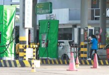 La empresa Meraki Oil espera licencia de la ANH para importar carburantes al país