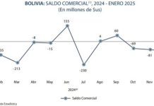 Bolivia registra déficit comercial de más de $us 800 millones y caída de exportaciones