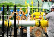 Exportaciones de gas disminuyen un 21,2% en 2024, según el INE