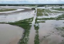 Productores de El Puente claman ayuda por desborde del río Grande que afectó 7 mil hectáreas