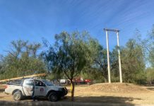 Tarija: Escasez de dólares altera los costos en Setar
