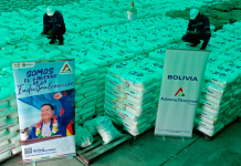 Interceptan 104 toneladas de harina de contrabando en operativo en Villamontes