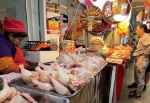 La escasez de pollitos bebés encarecerá la carne de pollo