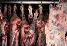 Gobierno llega a cinco acuerdos con ganaderos; el precio de la carne debe bajar para abrir la exportación