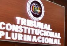 TCP: Vicepresidente puede ejercer la Presidencia del Estado y de la Asamblea simultáneamente