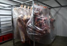Veto a exportación de carne de res se mantiene pese a rebaja en el precio