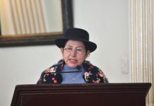 Bolivia e India fortalecen cooperación en energía, salud y turismo