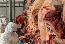 Avanzan gestiones para exportar carne a Egipto y lácteos a Chile