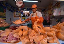 Subvención a carburantes y maíz reduce precio del pollo a Bs 18,50 el kilo en La Paz