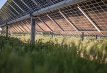 La energía solar en la UE batió su récord en marzo, pero la luz se encareció por el gas