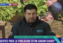 Lluvias afectan el 3,5% de los cultivos del país, según el Gobierno