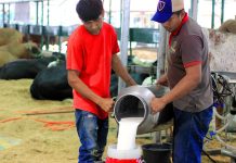 Reportan cierre de unas 100 lecherías y caída de un 20% en la producción en Santa Cruz
